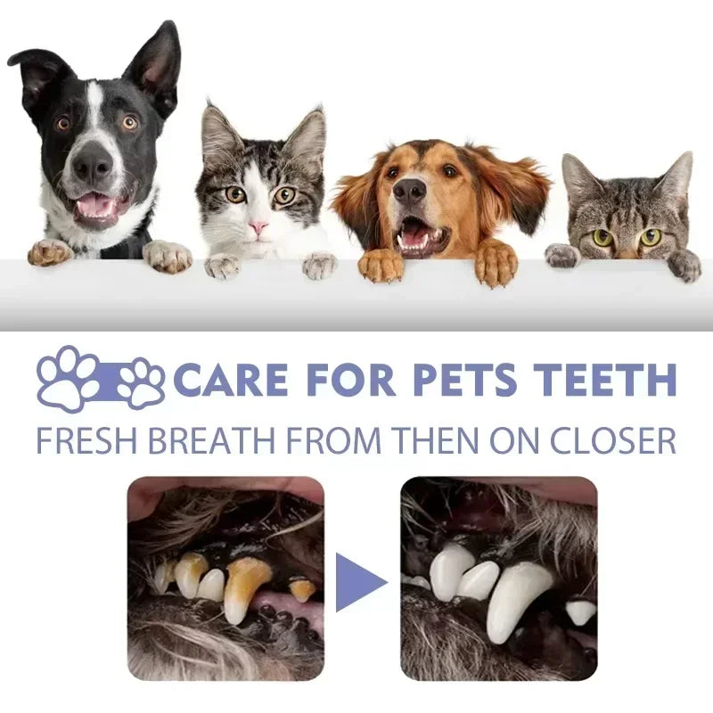 Pet Teeth Cleaning Spray for Fresh Breath & Oral Care