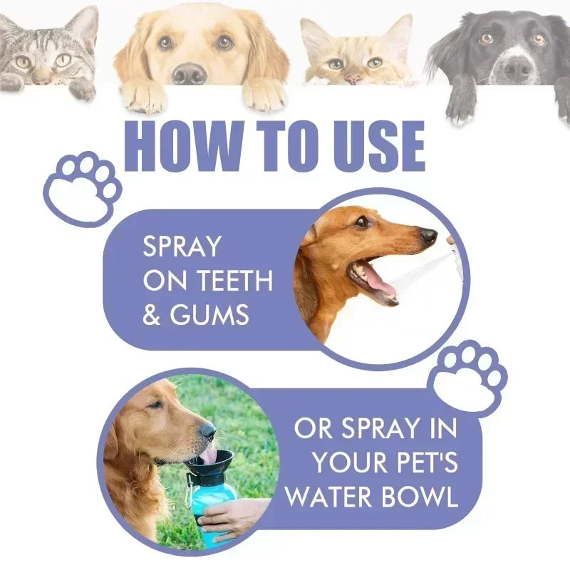 Pet Teeth Cleaning Spray for Fresh Breath & Oral Care