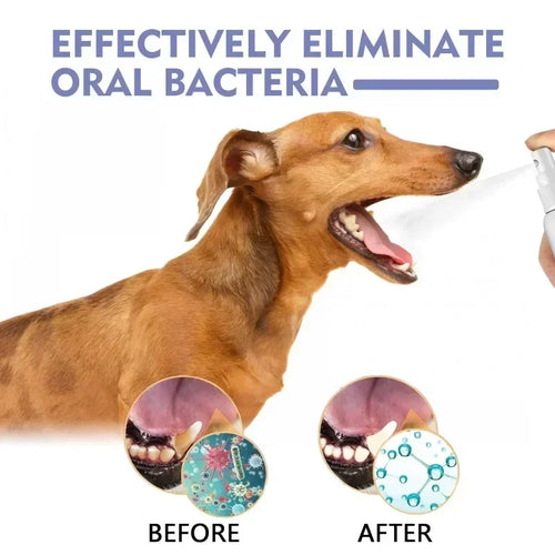 Pet Teeth Cleaning Spray for Fresh Breath & Oral Care